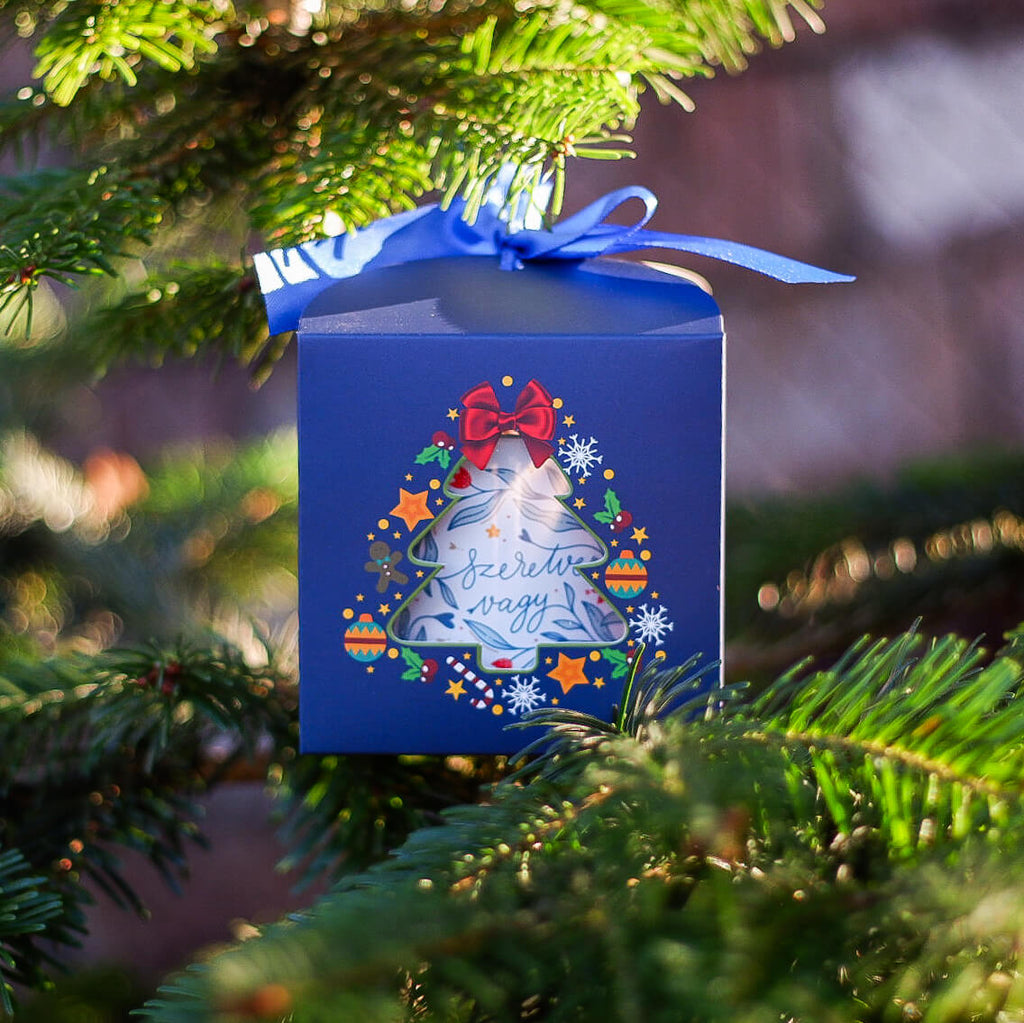 Cutie cadou pentru căni Craciun