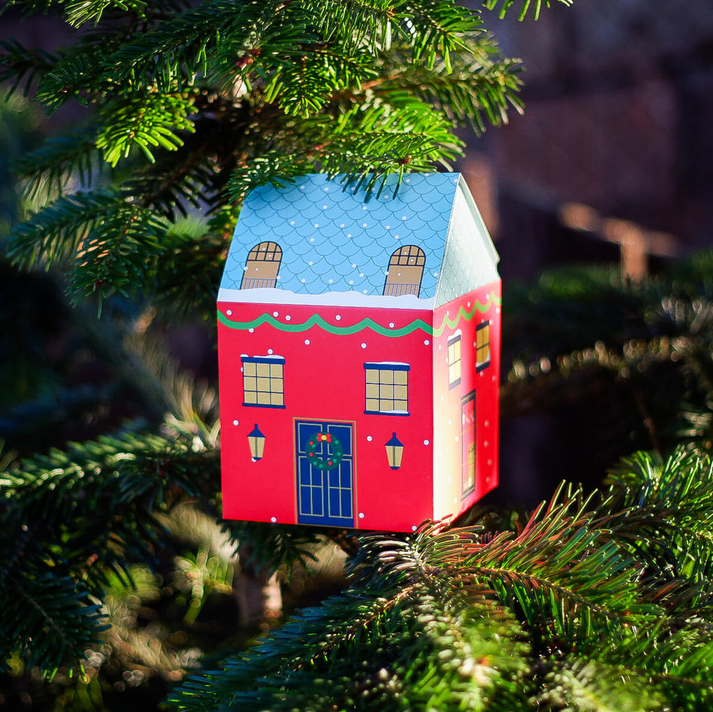 Cutie cadou pentru căni Căsuță