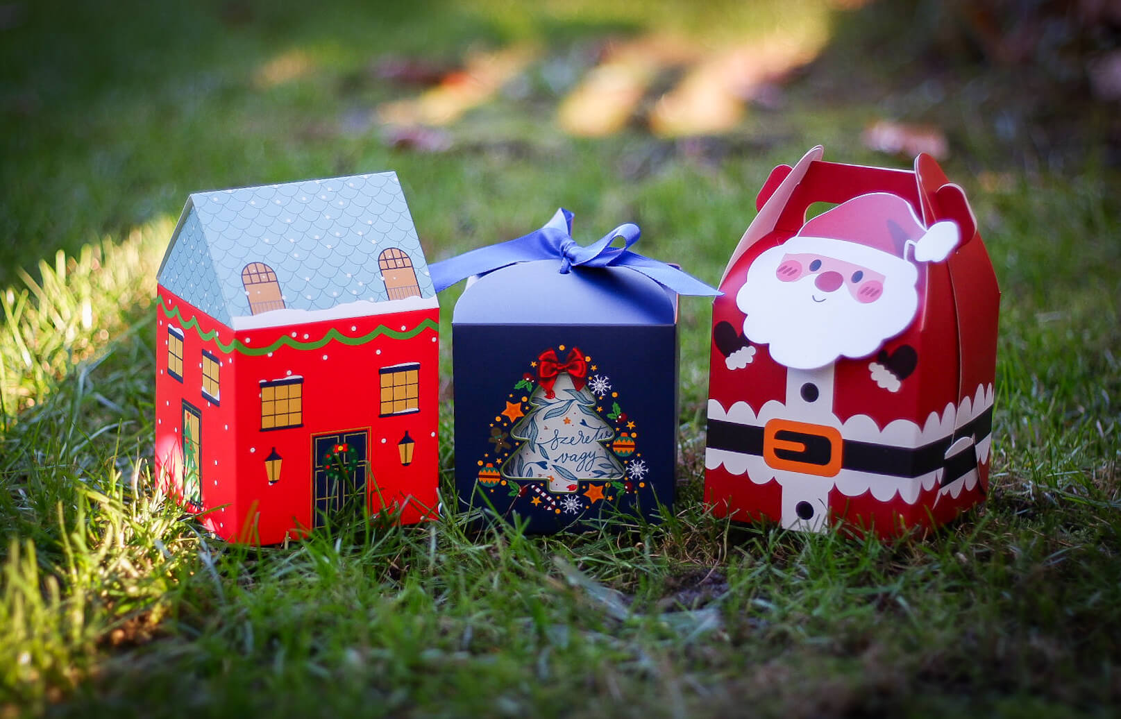 Cutie cadou pentru căni Căsuță