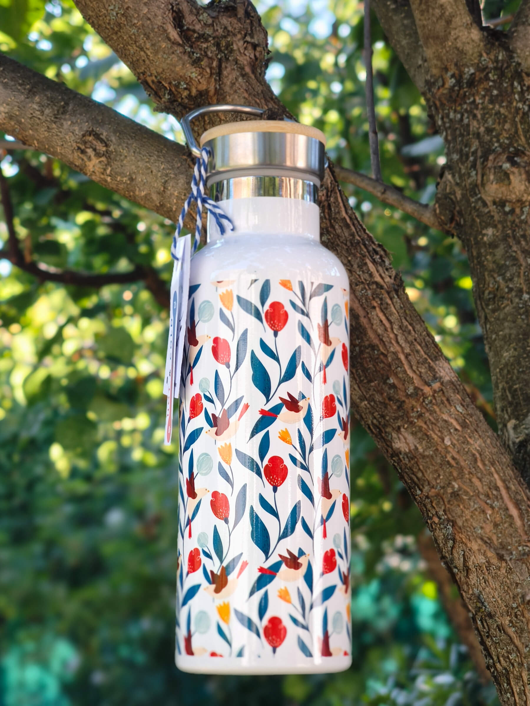 Termos păsărele albastre