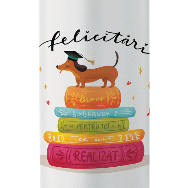 Sticlă 750ml din oțel inoxidabil - TU ALEGI