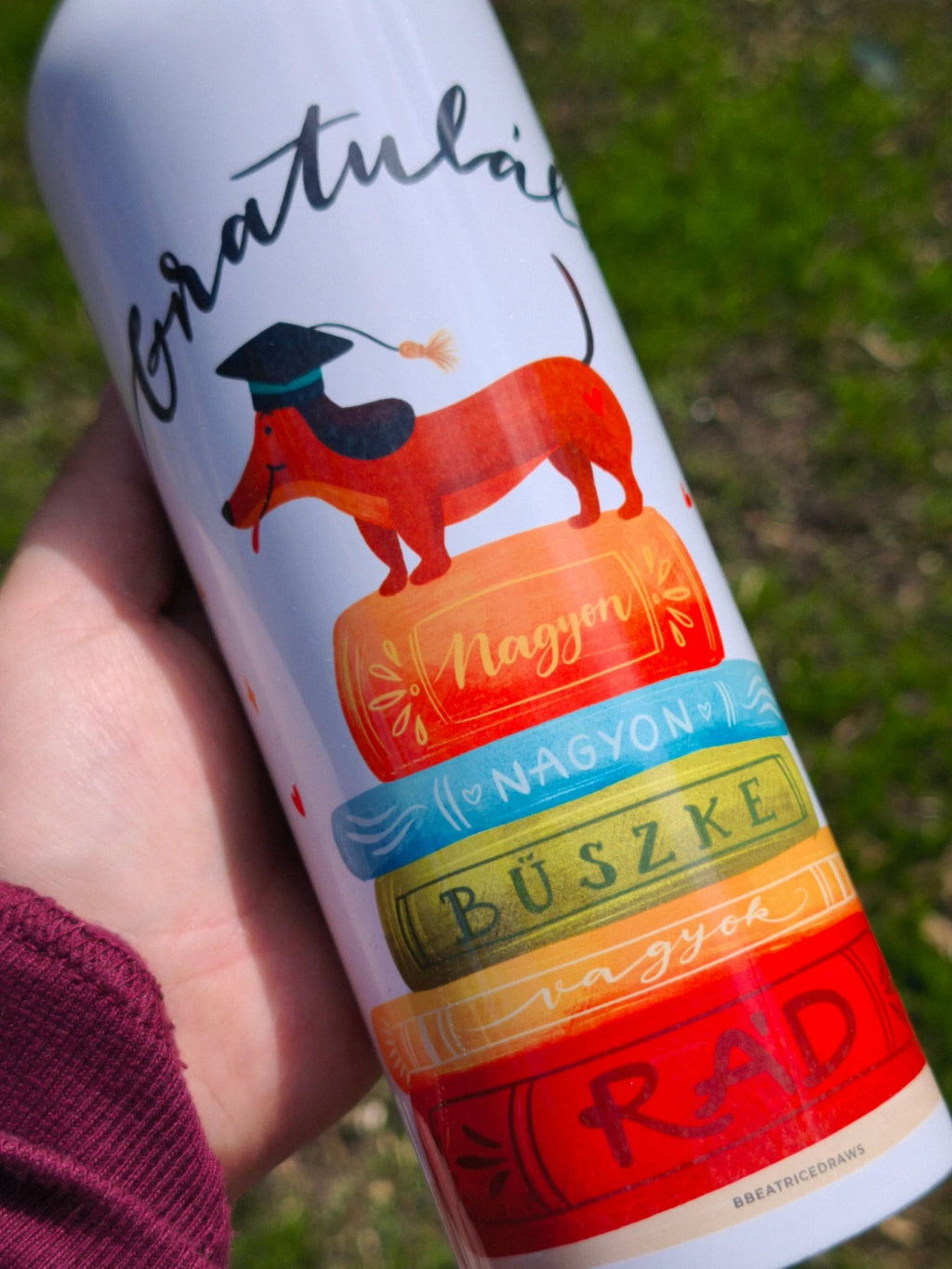 Sticlă inox 750ml - ”Felicitări” (Mai multe designuri)