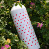 Red Hearts Stainless Steel Water Bottle - Personalizable